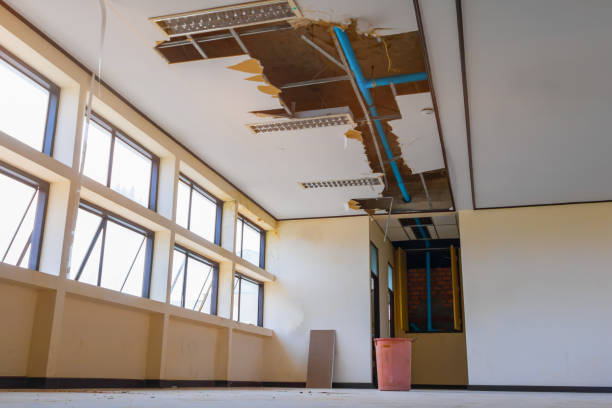 Best Mold removal after water damage  in Salem, OH