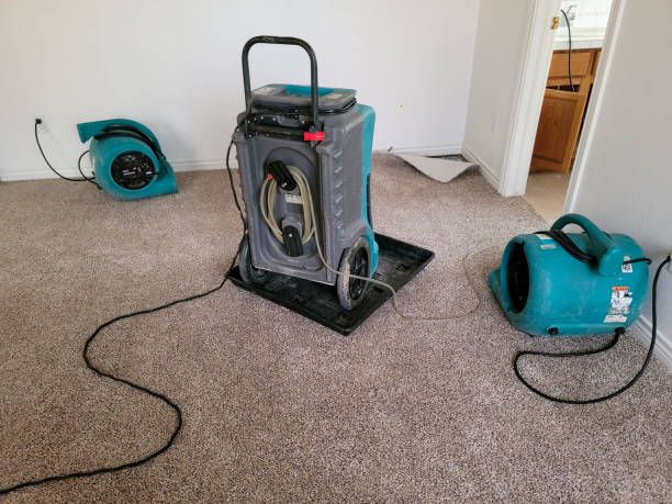 Best Water damage restoration cost  in Salem, OH
