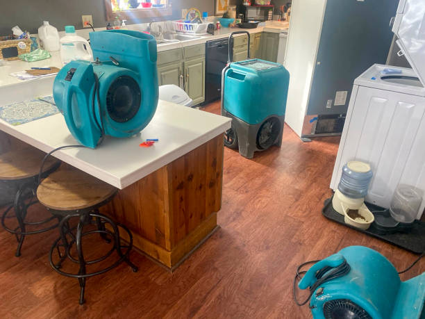 Best Emergency water damage restoration  in Salem, OH