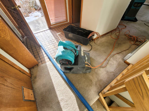 Best Fire Damage Restoration  in Salem, OH