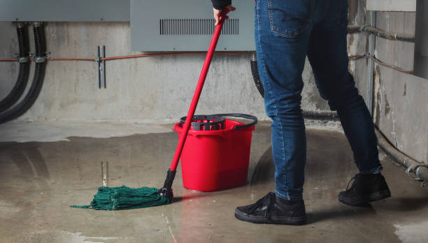 Best Water damage restoration specialists  in Salem, OH
