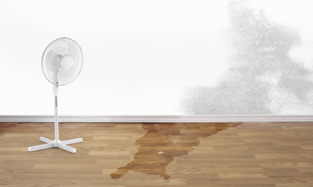 Best Residential water damage restoration  in Salem, OH