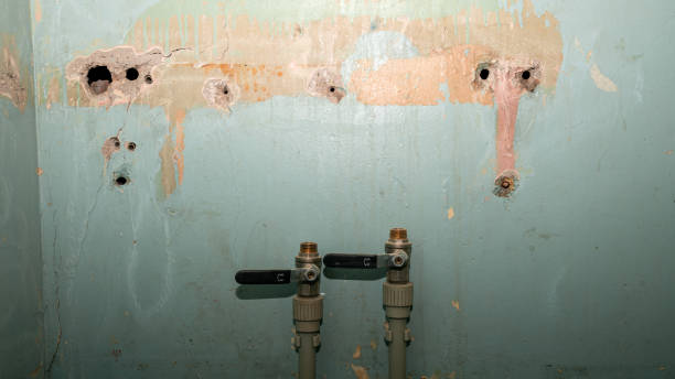 Best Professional water damage repair  in Salem, OH