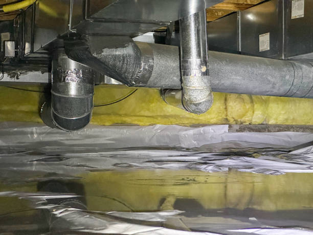 Best Professional water damage repair  in Salem, OH