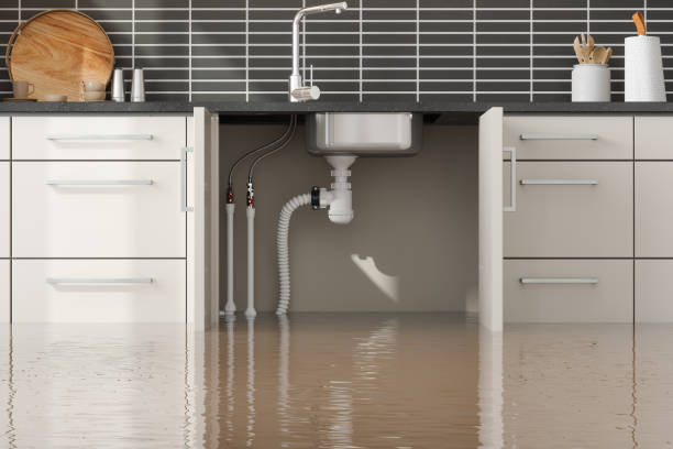 Best Flood damage cleanup  in Salem, OH