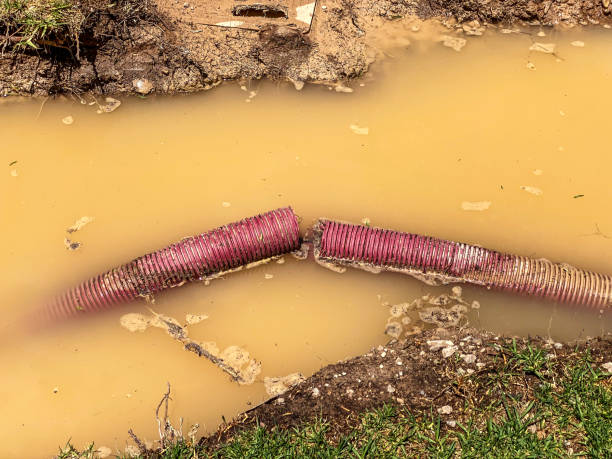 Best Water damage restoration services  in Salem, OH