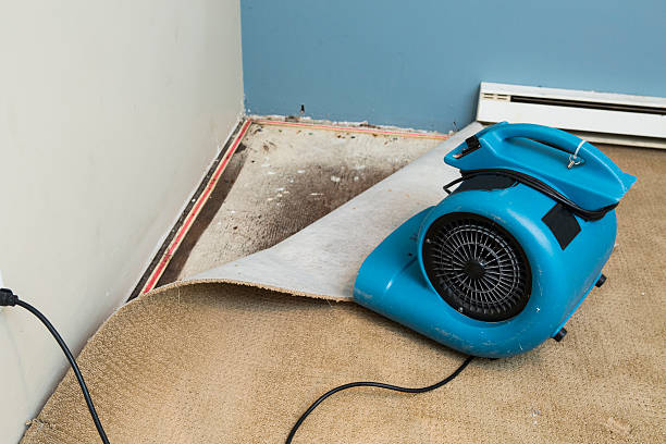 Best Commercial water damage restoration  in Salem, OH